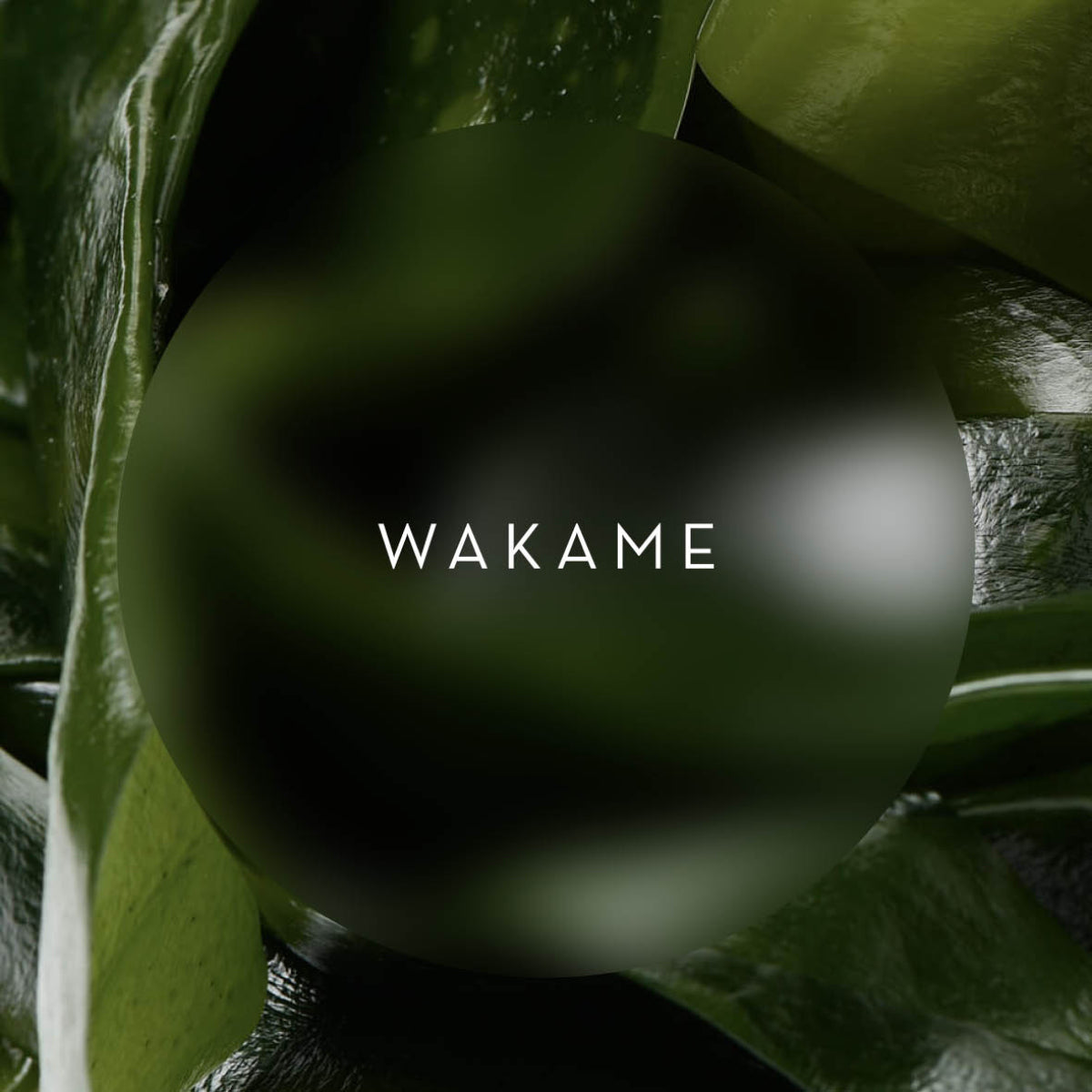 Ingredient Spotlight – Wakame Extract