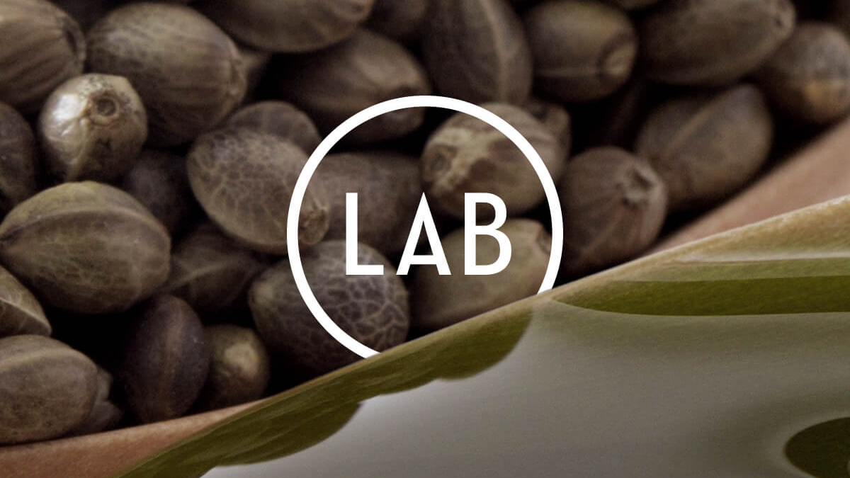 Hemp Seed Extract Skincare