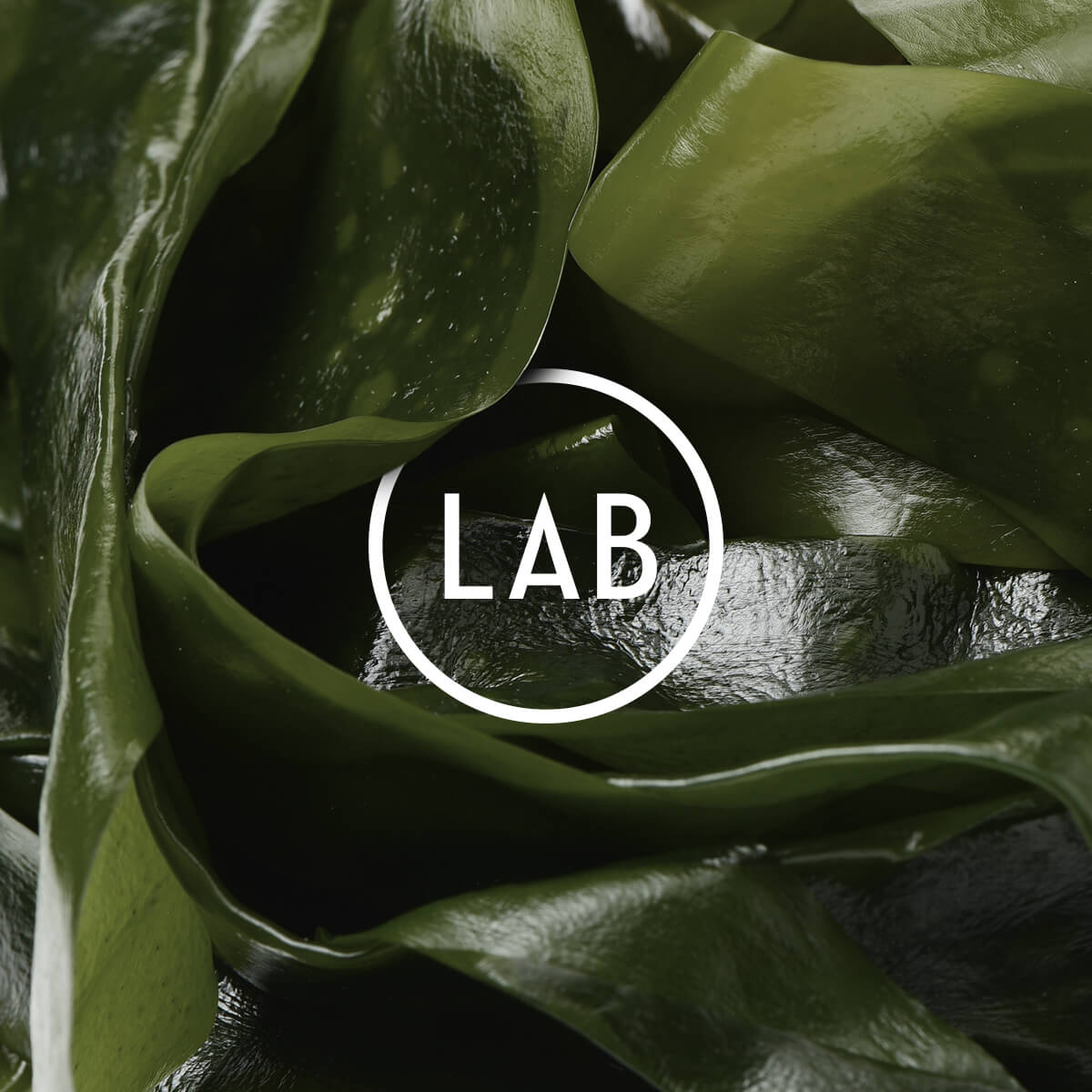 Wakame Extract Skincare