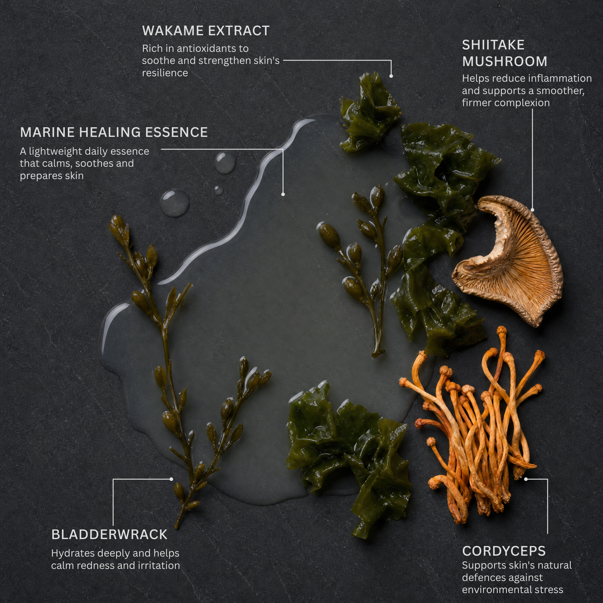 Marine Healing Essence