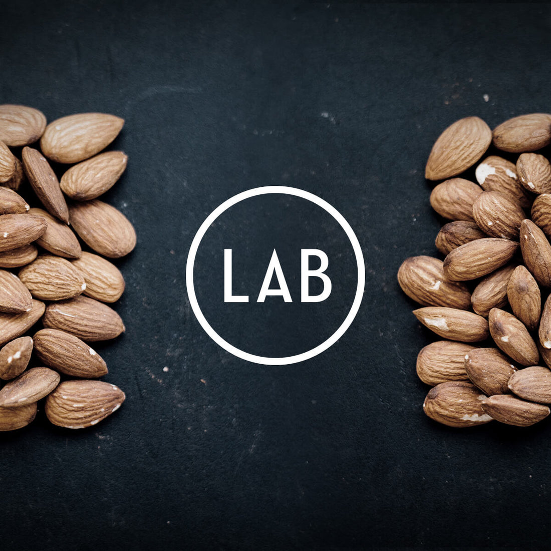 Butter Balm: Mango Seed, Cacao, Hemp Seed, Sweet Almond | Hunter Lab